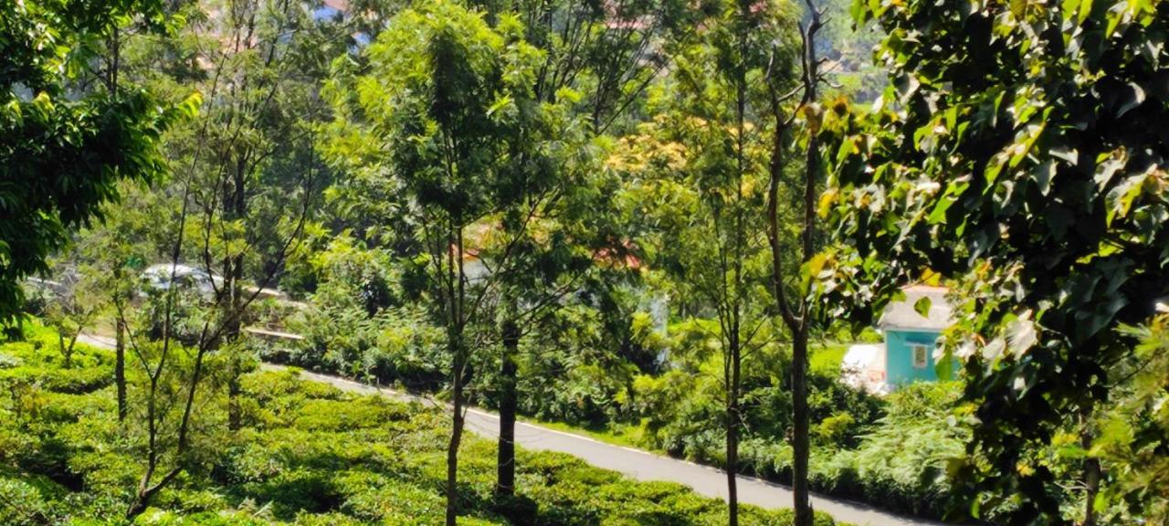 Adithya Sunrise View Cottage Kotagiri Luaran gambar